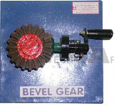 Bevel Gear